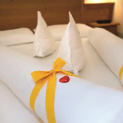 Natur Pur Hotel Unterpichl 3* Стандартный номер фото 2