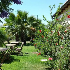 Отель Villa Dei Papiri 3* Улучшенный номер фото 6