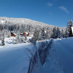 Гостиница Oryavchik Country House спортивное сооружение