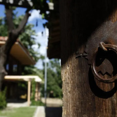 Отель Zlatna Oresha Guest House Болгария, Сливен - отзывы, цены и фото номеров - забронировать отель Zlatna Oresha Guest House онлайн фото 8
