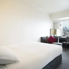 Hotel Nikko Osaka 4* Стандартный номер с различными типами кроватей фото 5