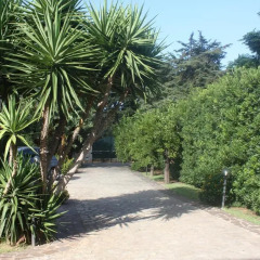 Отель Mondello Holiday Home Италия, Палермо - отзывы, цены и фото номеров - забронировать отель Mondello Holiday Home онлайн парковка
