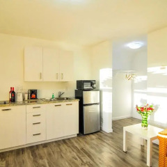Отель Regency Inn & Suites 2* Люкс с 2 отдельными кроватями фото 12