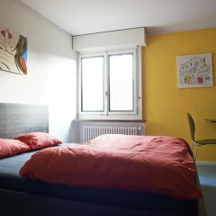 Budget Hostel Zurich Стандартный номер с различными типами кроватей фото 6