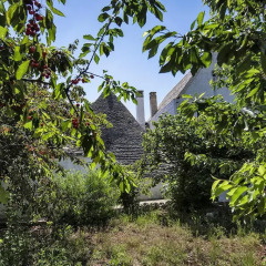 Отель Masseria Mazzalorsa Альберобелло фото 3