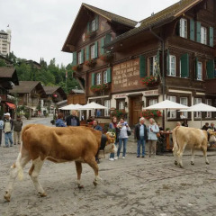Отель Posthotel Rössli Швейцария, Гштад - отзывы, цены и фото номеров - забронировать отель Posthotel Rössli онлайн с домашними животными