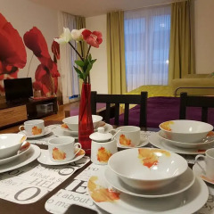 Апартаменты Europa Apartments в номере фото 2