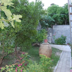 Отель Guesthouse Kadiu Berat Албания, Берат - отзывы, цены и фото номеров - забронировать отель Guesthouse Kadiu Berat онлайн фото 5