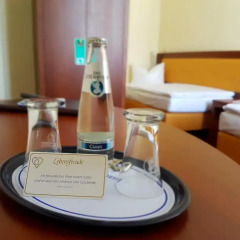 Hotel Arena City в номере