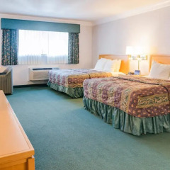 Отель Nob Hill Motor Inn 2* Полулюкс с различными типами кроватей фото 4