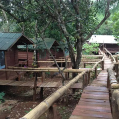 Отель Happy Elephant Bungalows