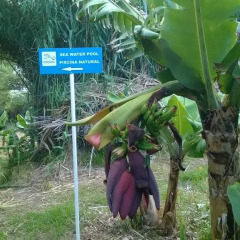 Отель Quinta Velha das Amoreiras спортивное сооружение