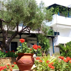 Отель Olive House Ситония фото 7