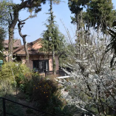 Отель The Fort Resort Непал, Нагаркот - отзывы, цены и фото номеров - забронировать отель The Fort Resort онлайн фото 6