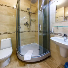 Гостиница Аврора 3* Номер Эконом с разными типами кроватей фото 17