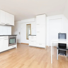 Апартаменты Apartments Swiss Star Ämtlerstrasse Цюрих в номере фото 2