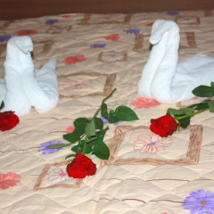 Hotel Iris комната для гостей фото 4