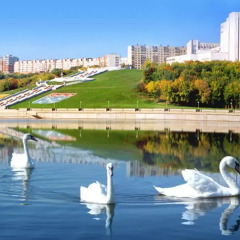 Гостиница Paradis Inn
