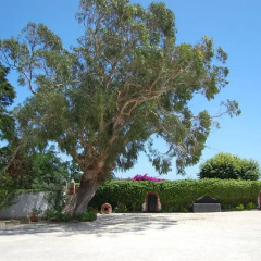 Отель House in a Farm 2km from the Ericeira Beach парковка