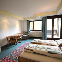 Апартаменты Auhof Apartments Стандартный номер с различными типами кроватей фото 3