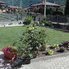 Отель Il Giardino Пьянтедо с домашними животными