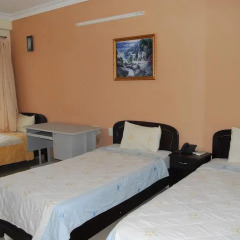 Tai Loc Hotel Стандартный номер