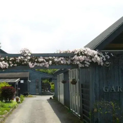 Отель Garden Shed Япония, Яманакако - отзывы, цены и фото номеров - забронировать отель Garden Shed онлайн фото 2