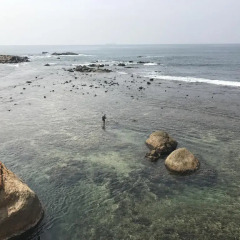 Отель Samaya Fort Шри-Ланка, Галле - отзывы, цены и фото номеров - забронировать отель Samaya Fort онлайн пляж