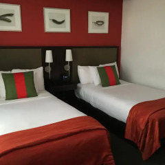Spanish Court Hotel 4* Номер Делюкс с 2 отдельными кроватями