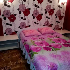 Гостевой дом Надежда Полулюкс с двуспальной кроватью фото 12
