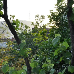 New Tbilisi Hostel Кровать в общем номере с двухъярусной кроватью