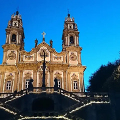 Отель Casa da Quinta do Paço Вилла с различными типами кроватей фото 27