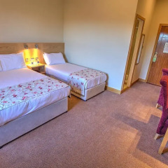 The Lucan Spa Hotel 3* Стандартный номер с разными типами кроватей фото 15