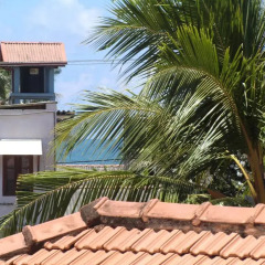 Отель The Oasis Villa Шри-Ланка, Хиккадува - отзывы, цены и фото номеров - забронировать отель The Oasis Villa онлайн фото 4