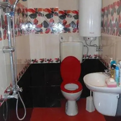 Апартаменты Danaya Apartment ванная