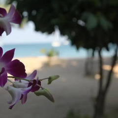 Отель Naiyang Seaview Place бассейн фото 2