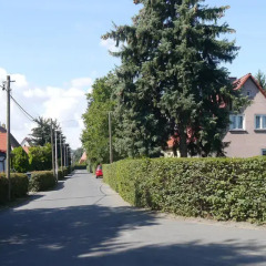 Отель Ferienwohnung Am Elberadweg Германия, Дрезден - отзывы, цены и фото номеров - забронировать отель Ferienwohnung Am Elberadweg онлайн фото 5