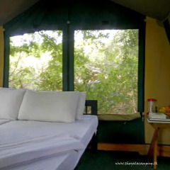 Отель The Yala Camping комната для гостей фото 2