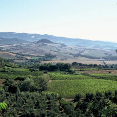 Отель Fontemorsi Agriturismo Монтескудаио фото 9