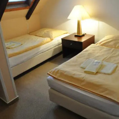 Hotel Svornost 3* Стандартный номер с 2 отдельными кроватями фото 18