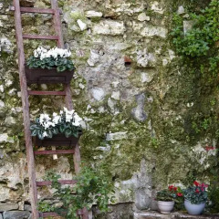 Отель Baglio San Giovanni Италия, Палермо - отзывы, цены и фото номеров - забронировать отель Baglio San Giovanni онлайн фото 13