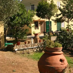 Отель Agriturismo Greppo All'olivo Кастаньето-Кардуччи фото 3