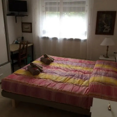 Отель Homestay Vittorio Veneto с домашними животными