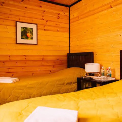 Гостиница Efimov Bor Resort Стандартный номер разные типы кроватей фото 3