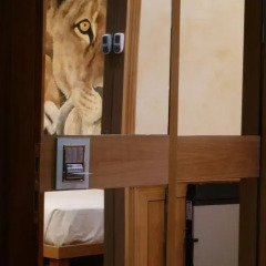 Hotel Star 3* Улучшенный номер с различными типами кроватей фото 3