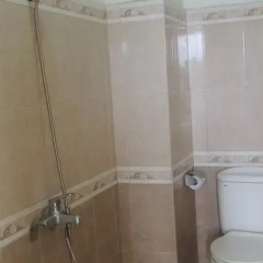 Thanh Long Hotel ванная