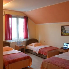 Отель Guest House Vila Bor Стандартный номер фото 9