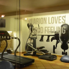Clarion Grand Hotel фитнесс-зал