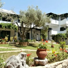 Отель Olive House Ситония