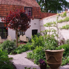 Отель B&B Canal Deluxe Бельгия, Брюгге - отзывы, цены и фото номеров - забронировать отель B&B Canal Deluxe онлайн фото 9
